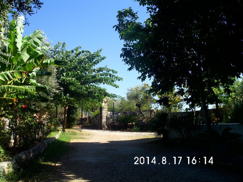 Kastraki Studios Stoupa Room photo